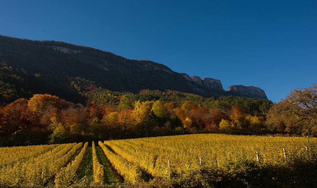 Weingut Wolkanhof Аппиано-Сулла-Страда-дель-Вино Экстерьер фото