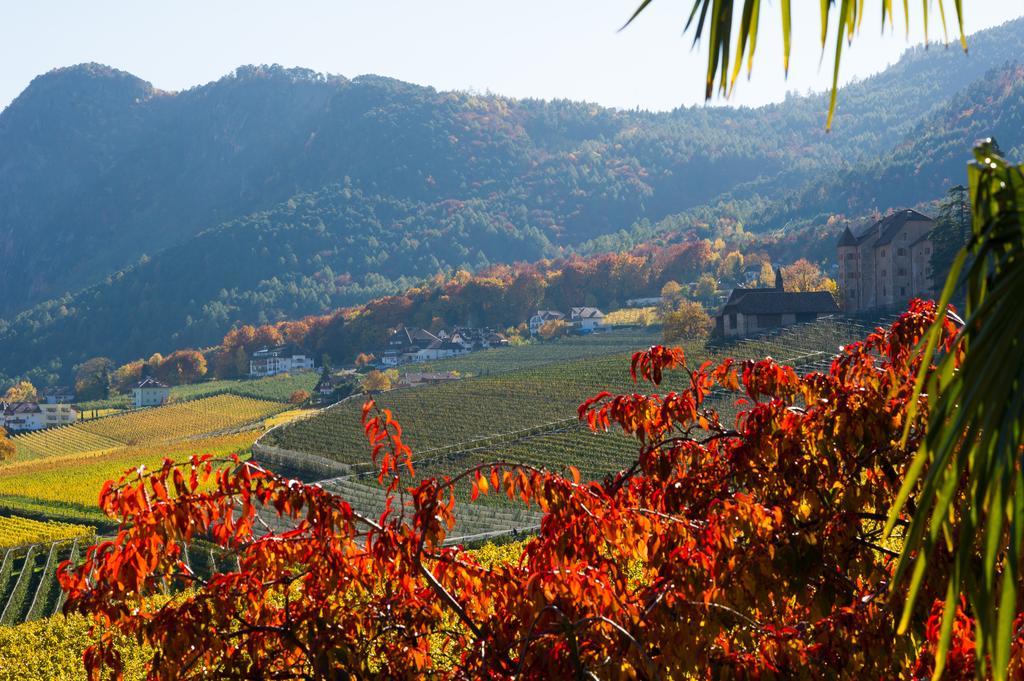 Weingut Wolkanhof Аппиано-Сулла-Страда-дель-Вино Экстерьер фото