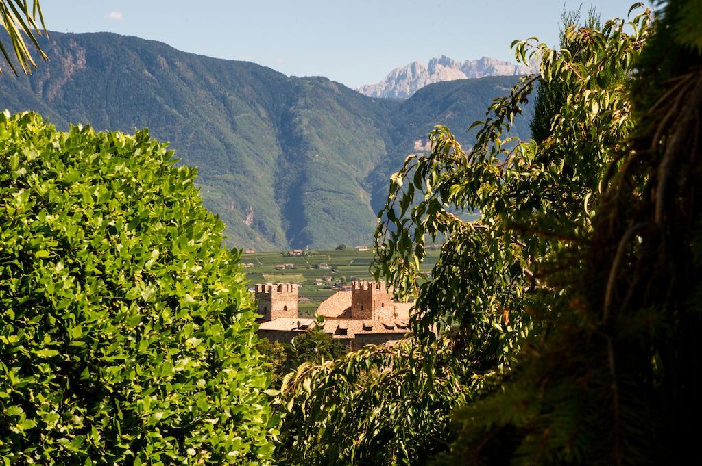 Weingut Wolkanhof Аппиано-Сулла-Страда-дель-Вино Экстерьер фото