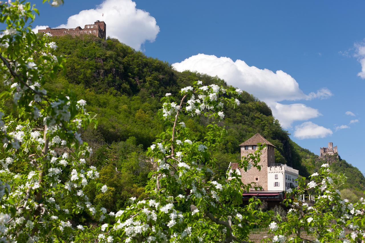 Weingut Wolkanhof Аппиано-Сулла-Страда-дель-Вино Экстерьер фото